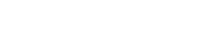 Plastic Duck Armada Logo